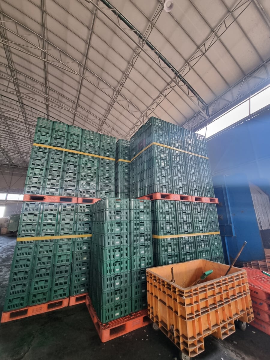 Traceability photo