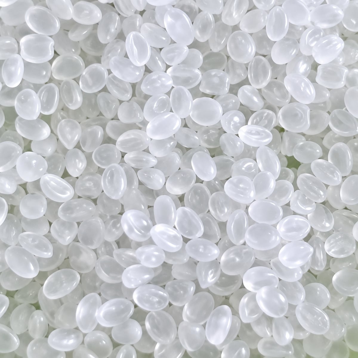 White rPP
